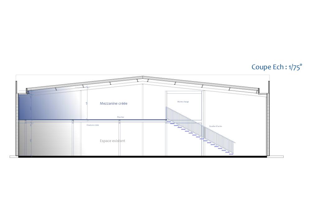 Distribution (1)